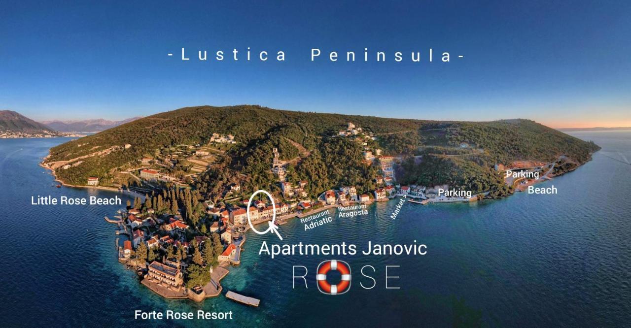 Rose - Apartmani Janovic Лущица Екстериор снимка